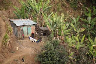 Haïti : Réalisations paysannes, richesses de la nature