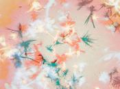 REVIEW Bibio Silver Wilkinson