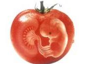 démocratie doit être garante intérêts citoyens, dans quelle société vivons nous