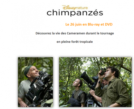 Chimpanzés – Découvrez la vies des Cameramen dans la Jungle‏