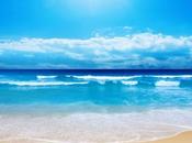 Sharp lance pouces Europe