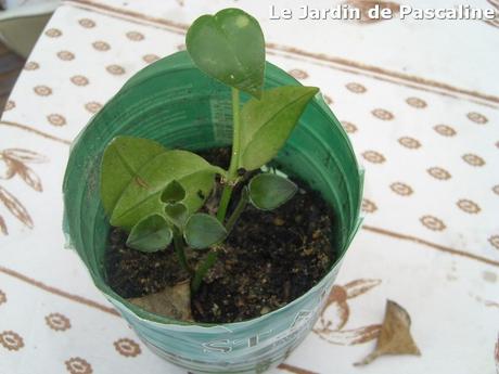 Suite à ma mésaventure avec Blogger (no comment), mon art...