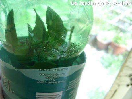 Suite à ma mésaventure avec Blogger (no comment), mon art...