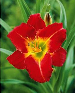 YESSSSSS ! DE RETOUUUUUUR !