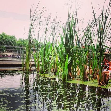 Balade sur les nouvelles Berges de Seine #1 : Invalides – Musée d’Orsay (Paris 7) IMG_20130620_152743