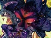 BREF vrac... c'est l'été