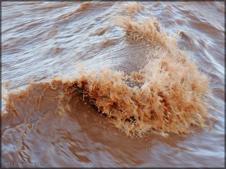 DSCN1511_tidal_bore_petitcodiac