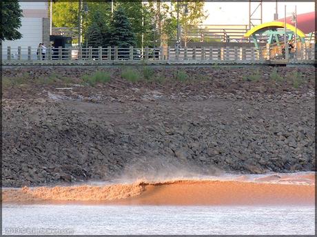 DSCN1494_petitcodiac_river