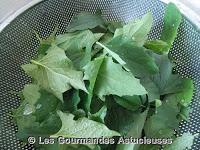 Duo de Chénopode sauce au tahin (vegétarien)