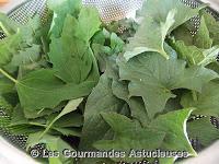 Duo de Chénopode sauce au tahin (vegétarien)