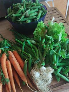 Il parait que c'est l'été... Ha bon ?