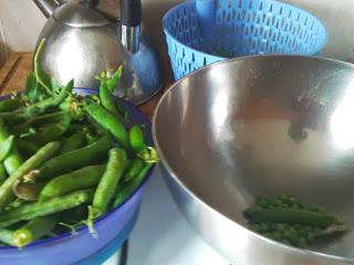 Il parait que c'est l'été... Ha bon ?