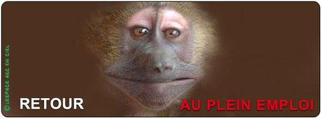Retour au Plein Emploi