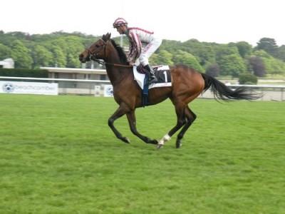 20110430C5-Cirrus des Aigles