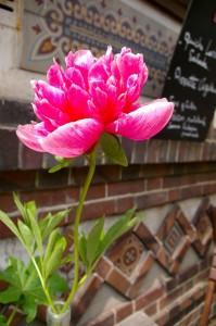8 bonnes raisons de passer un week-end à Chartres chartes_lumieres-8066-199x300