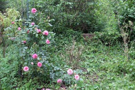 albert poyet 1 romi 22 juin 2013 050.jpg