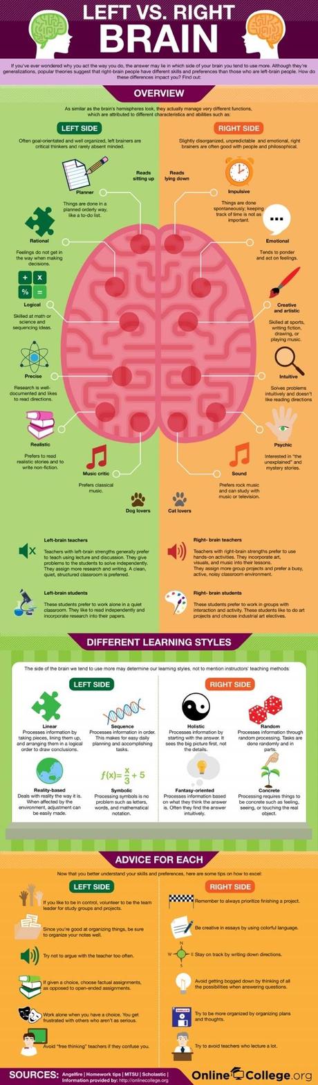 left-brain-right-brain