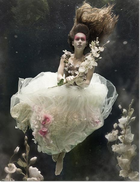 Photos de Zena Holloway