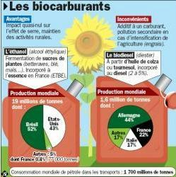 Les biocarburants accusés d'aggraver la crise alimentaire