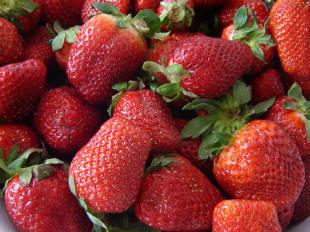 Strawberry field forever-The Beatles-La note qui te fait dire que les fraises d'Espagne c'est le mal...