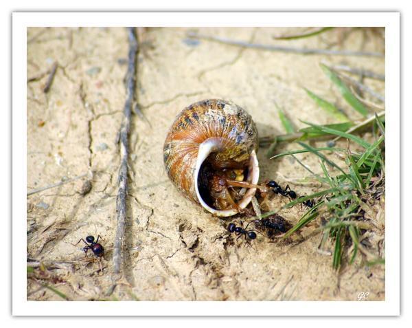 Promenade en infiniment petit