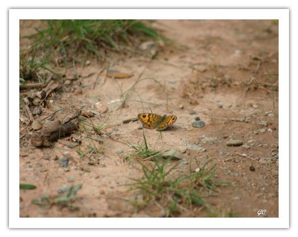 Promenade en infiniment petit