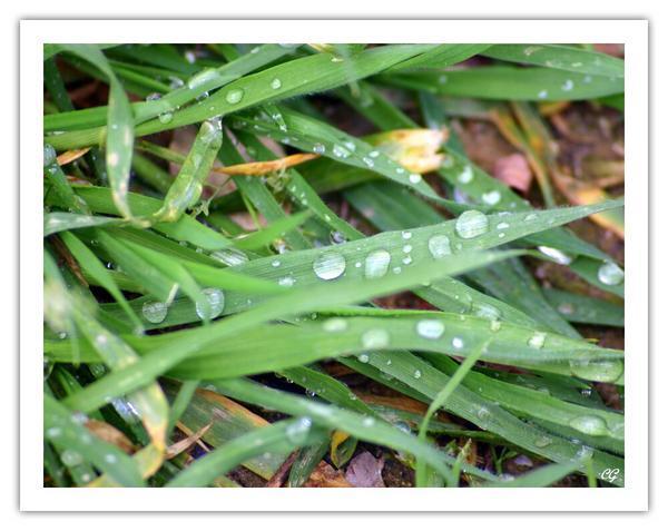 Promenade en infiniment petit