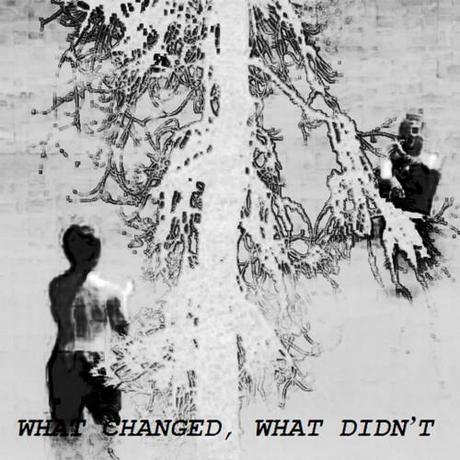 WHAT-CHANGED,-WHAT-DIDN’T