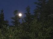 Pleine lune d'été