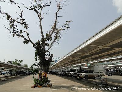 Thaïlande, Hypermarché : Parkings réservés aux esprits.