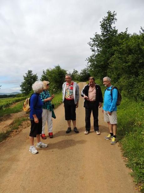 Meursault 22-06-2013 10-22-45