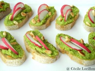 Recette bio : Toasts au pesto de fèves et radis bio
