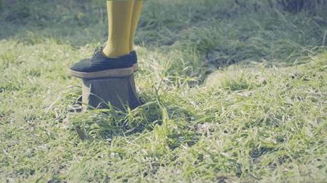 Rotation  |  LE COLLECTIF RRRRRRRROLL