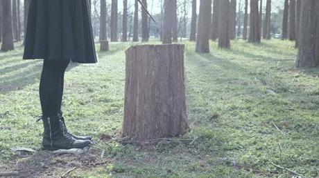 Rotation  |  LE COLLECTIF RRRRRRRROLL