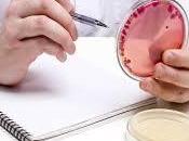 Pétition faveur méthode substitutive expériences