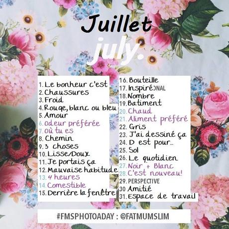 FMS Photo a Day - Juillet 2013