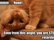 Étude sérieuse l’iPhone deux fois moins rapide Galaxy