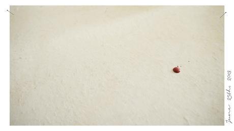 Manucure Toppings Bourgois 112 Manucure Toppings Bourgois