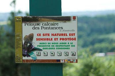 Jezainville : pelouse calcaire des Pontances