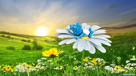 Chapristi | Wallpaper «Bzzzzz»