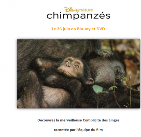 Chimpanzés : en Blu-ray et DVD – Découvrez la Complicité des Singes‏
