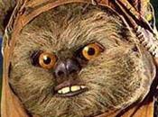 [Rapport] Saints interdit Australie sonde anale cause