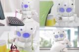 Robot RAPIRO : un petit assistant programmable Raspberry Pi