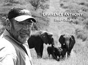 Histoire extraordinaire éléphants décès L.Anthony