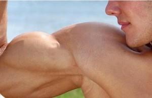 muscler biceps sans materiel
