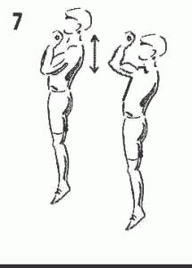 traction musculation dos