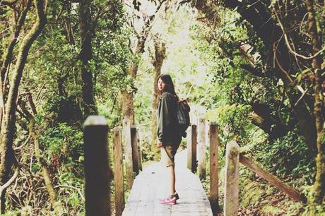 Partie 1: Costa Rica entre terre et mer