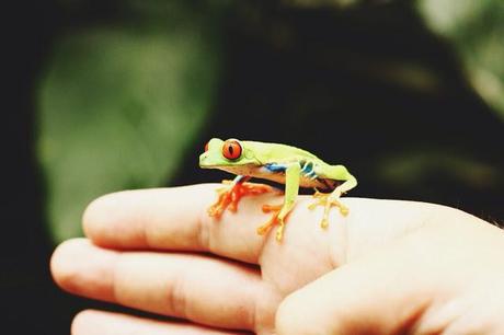 Partie 1: Costa Rica entre terre et mer