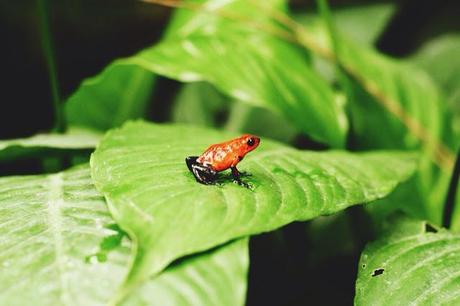 Partie 1: Costa Rica entre terre et mer
