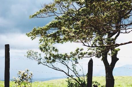 Partie 1: Costa Rica entre terre et mer